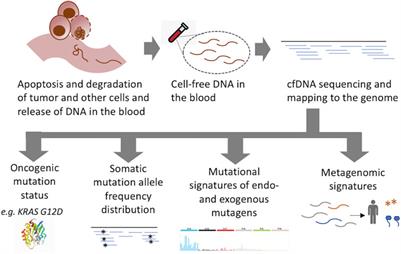 Signatures Beyond Oncogenic Mutations in Cell-Free DNA Sequencing for Non-Invasive, Early Detection of Cancer